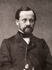 Louis Pasteur, microbiólogo y químico francés, siglo XIX de Unbekannt