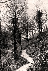 Lovers Lane, Fairlight, Hastings, Sussex de Unbekannt