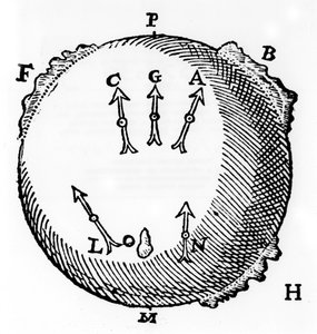 Magnetismo, 1600 de Unbekannt