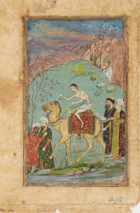 Majnun en un camello, siglo XIX de Unbekannt