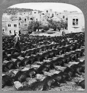 Fabricación de botellas de vino, Hebrón, c. 1900 de Unbekannt