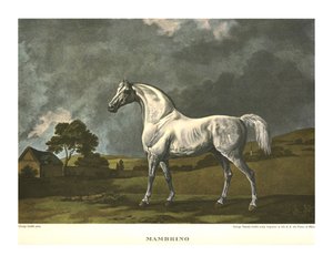 Mambrino, c1779 de Unbekannt