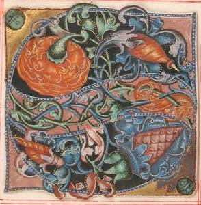 Iluminación de manuscrito con inicial S, de un libro de coro, siglo XVI de Unbekannt