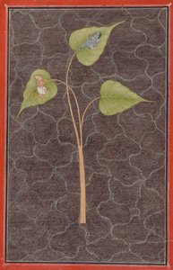 Markandeya viendo a Krishna en el océano cósmico, c. 1680 de Unbekannt