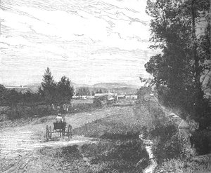 Calle del Mercado, Pretoria, c1880s de Unbekannt