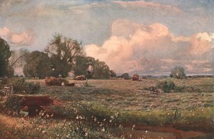 Dulces de pradera, 1893, c1902 de Unbekannt