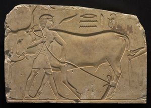 Hombres atando un buey, 667-647 a.C. de Unbekannt