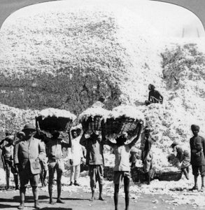 Hombres cargando cestas de algodón en una fábrica de algodón en Indore, India, 1900s de Unbekannt