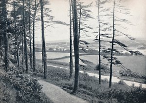 Menai - Desde Bangor Wood, 1895 de Unbekannt