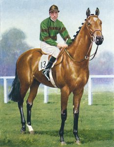 Mirza II, Jinete: H. Wragg de Unbekannt