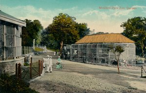 Zoo del Parque Mitchell, Durban, c1915