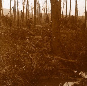 Monte Kemmel, Flandes, Bélgica, c1914-c1918 de Unbekannt