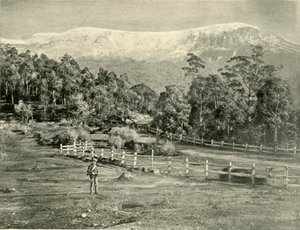 Monte Wellington, desde el Camino Huon, 1901 de Unbekannt