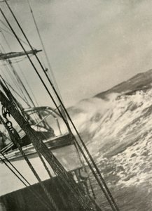 Mares montañosos de Unbekannt