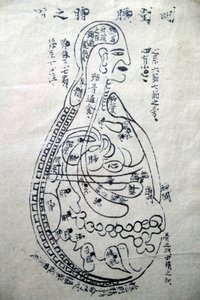 Museo de Medicina Tradicional Vietnamita, Los canales y vasos, Libro de acupuntura, Ciudad Ho Chi Minh, Vietnam