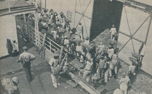 Nativos cargando bananas en Kingston, Jamaica, cantan salmos escoceses, 1937 de Unbekannt