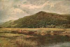 Espejo de la naturaleza, 1882, c. 1902 de Unbekannt