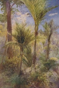Bosque de Nueva Zelanda, 1924 de Unbekannt