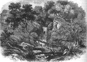 Paisaje de Nueva Zelanda, c1880 de Unbekannt