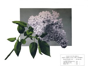 Sin título - Muestra de John Kidd & Co. Ltd., 1910 de Unbekannt