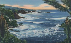 Costa norte, Trinidad, B.W.I., c1940s