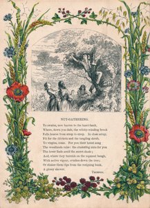 Recolección de nueces, por Thomson, c1900