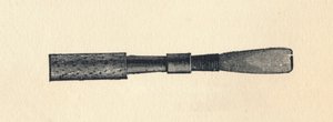 Caña de oboe, 1895 de Unbekannt