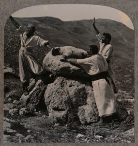 Sacrificio de cordero en el Altar, Moreh