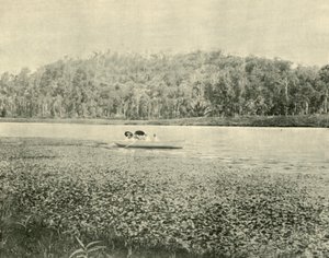 En el lago Enoggera de Unbekannt
