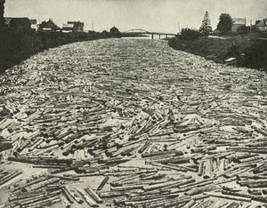En su camino a los aserraderos, c1948 de Unbekannt