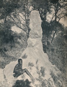 Uno de los montículos de hormigas gigantes peculiares de algunas zonas de Sudáfrica, c1900 de Unbekannt