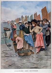 Vendedor de ostras, 1902 de Unbekannt