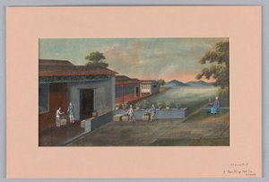 Empacando té en cofres, 1890-1910 de Unbekannt