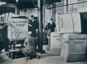 Empacando los fardos de caqui para el envío al Gobierno, c1914