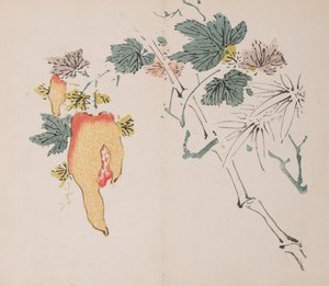 Página de Shi Zhu Zhai de Unbekannt