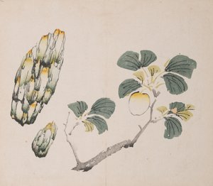Página de Shi Zhu Zhai de Unbekannt