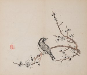 Página de Shi Zhu Zhai de Unbekannt