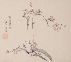 Página de Shi Zhu Zhai de Unbekannt