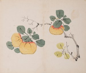Página de Shi Zhu Zhai de Unbekannt