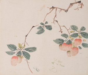 Página de Shi Zhu Zhai de Unbekannt