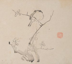 Página de Shi Zhu Zhai Shu hua pu de Unbekannt