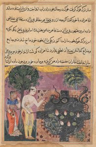 Página de Cuentos de un loro Tuti-nama: Decimoctava noche: El príncipe, c. 1560