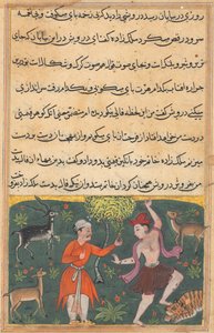Página de Cuentos de un Loro Tuti-nama: Decimoctava noche: El príncipe se encuentra..., c. 1560 de Unbekannt