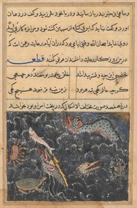 Página de Cuentos de un loro Tuti-nama: Undécima noche: Las criaturas del mar, c. 1560 de Unbekannt