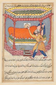 Página de Cuentos de un loro Tuti-nama: Quincuagésima noche: El rey coloca el talismán..., c. 1560 de Unbekannt