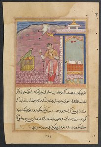 Página de Cuentos de un Loro Tuti-nama: Cuarenta y cuatro noche: El loro se dirige..., c. 1560