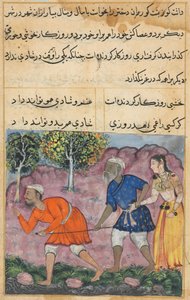 Página de Cuentos de un Loro Tuti-nama: Cuadragésima segunda noche: La hija del Rajá..., c. 1560 de Unbekannt