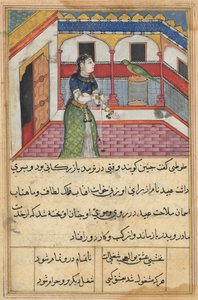 Página de Cuentos de un loro Tuti-nama: Cuadragésima segunda noche: El loro se dirige..., c. 1560