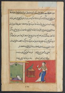 Página de Cuentos de un loro Tuti-nama: Cuadragésima séptima noche: El loro se dirige a Khujasta..., c156