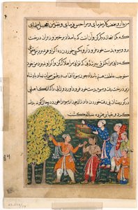Página de Cuentos de un loro Tuti-nama: Novena noche: El rey recoge fruta del árbol..., c. 156 de Unbekannt